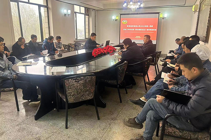 公司组织召开2023年第一季度 安全工作会议暨《职业病防治法》宣传周启动会